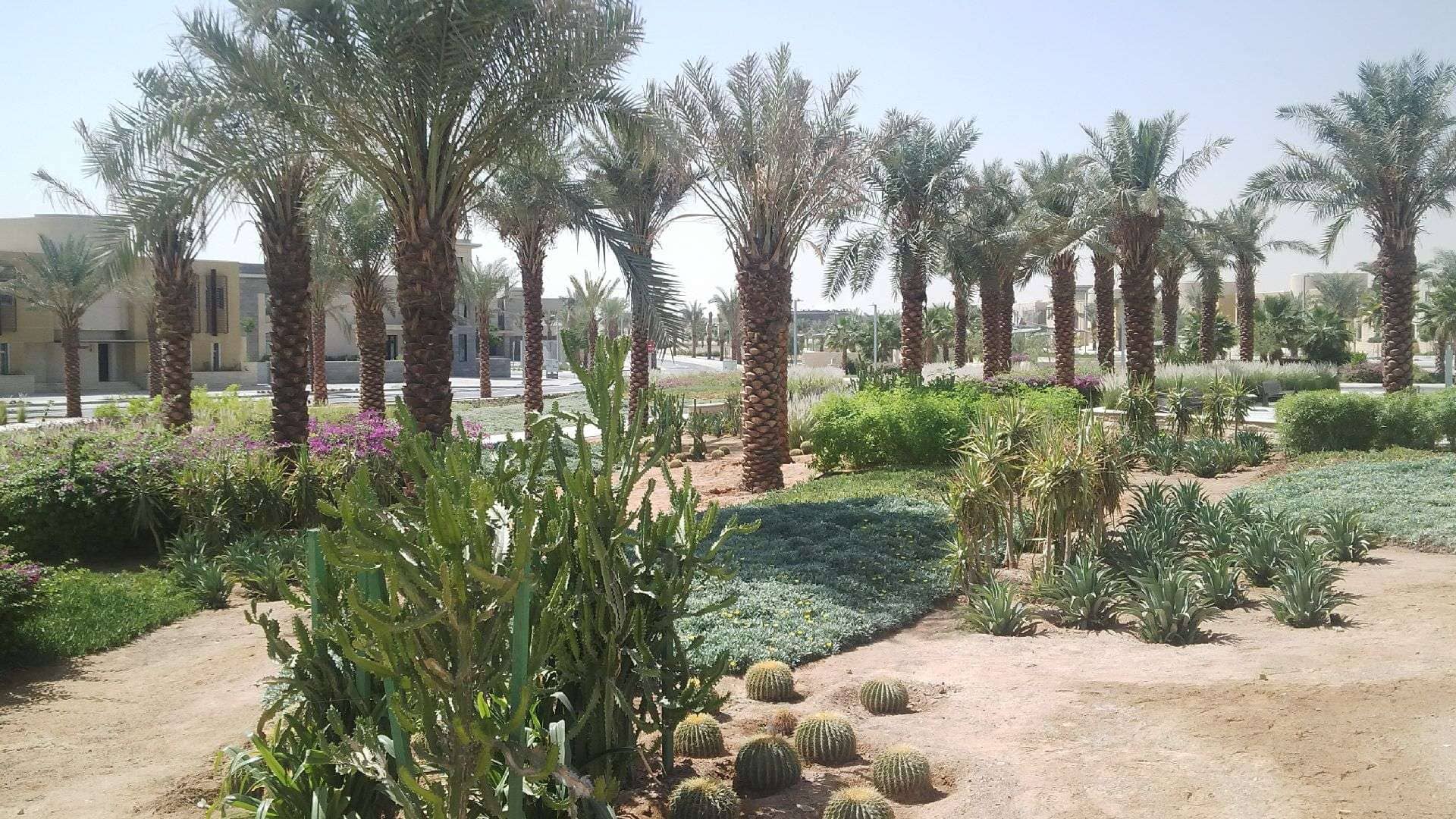 IMG_20141025_112556-min