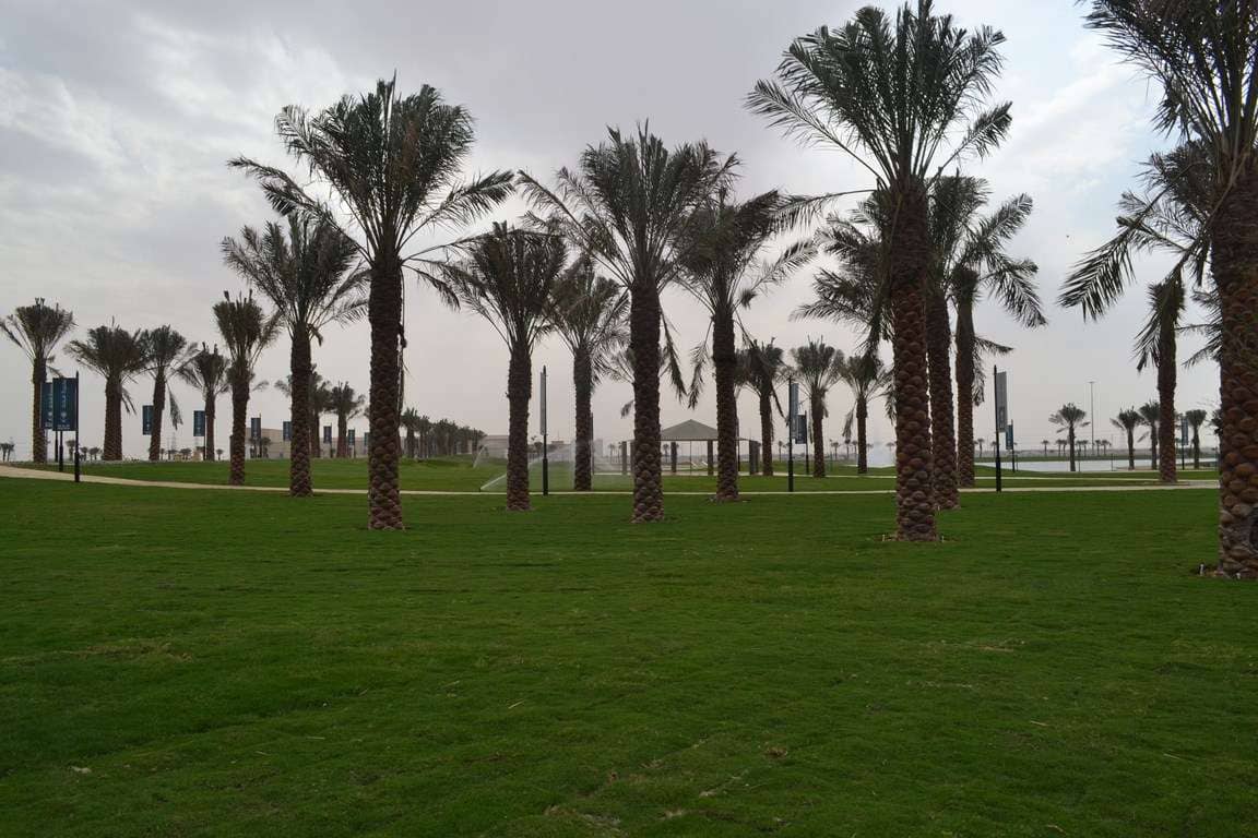 c100821b050e4d9585d6df6c87684fd4-min-570x3901