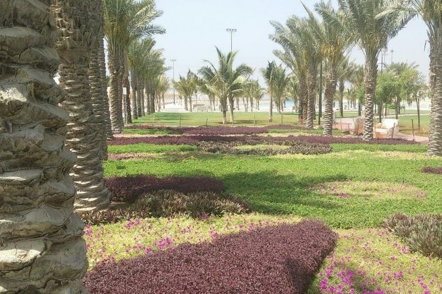 img_20160411_103836-copy-min