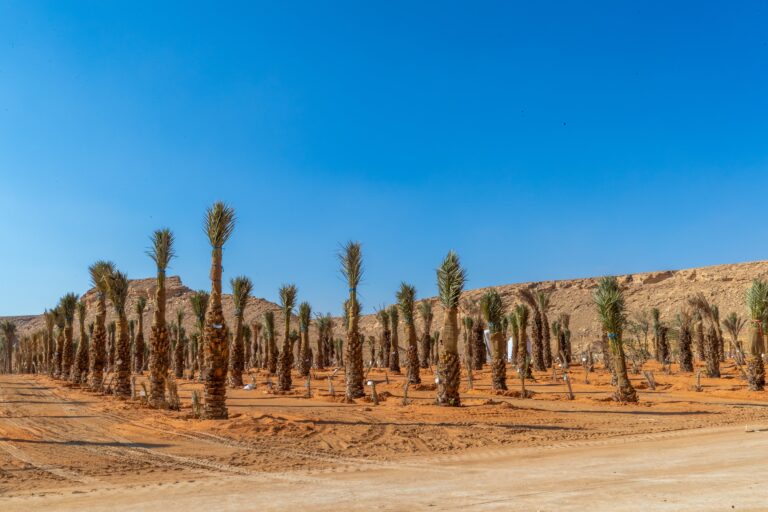 20220104-04012022-9-min